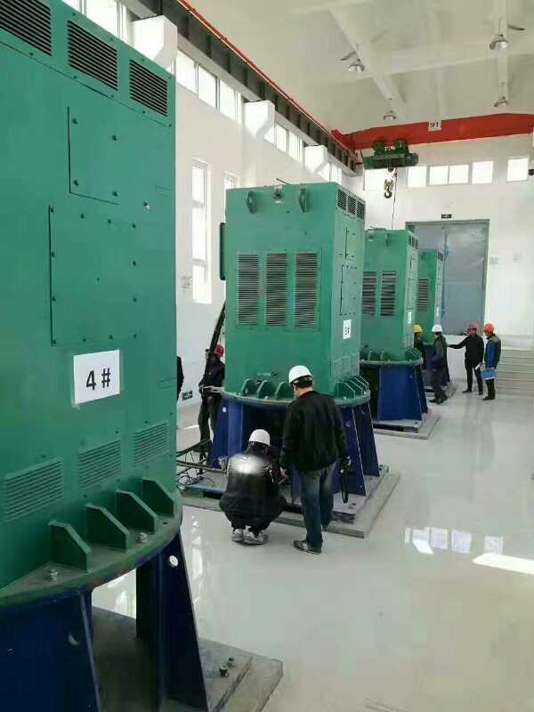 桓仁某污水处理厂使用我厂的立式高压电机安装现场